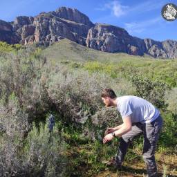Servicing camera traps